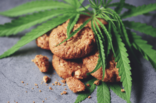 Do Edibles Show Up in Drug Tests? A Guide to Cannabis Detection