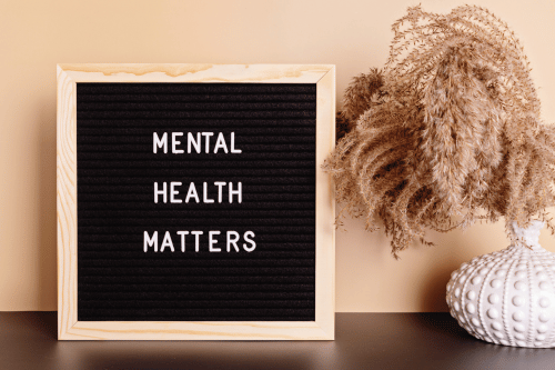 what is the difference between comorbidity and dual diagnosis